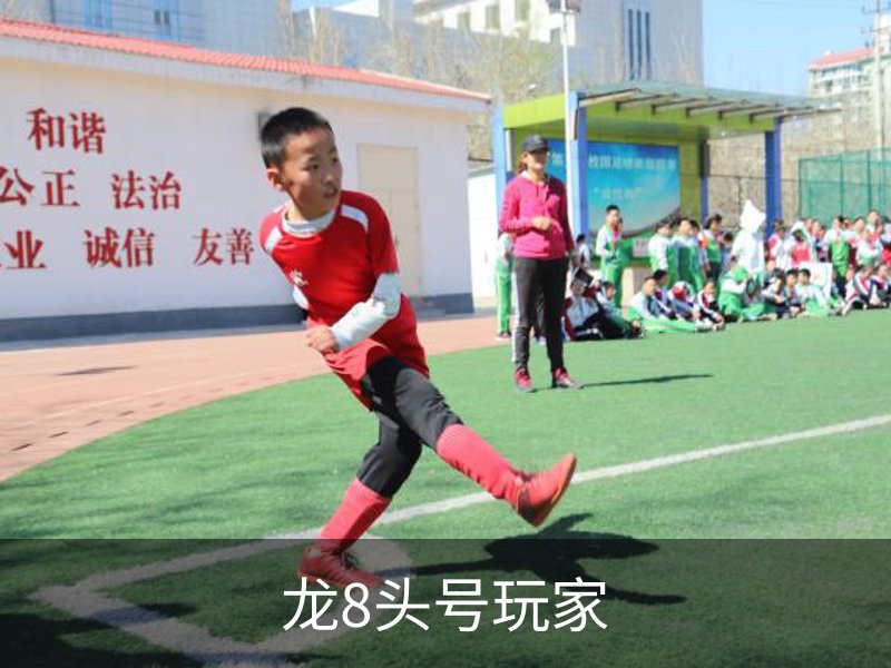 关于龙8头号玩家